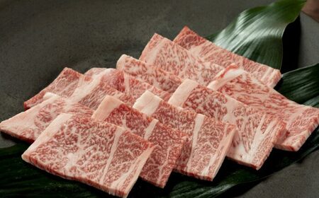 土佐あかうし 焼肉用（肩ロース）約400g / 贈答用 ジューシーな肩肉 あかうし 土佐 土佐和牛 和牛 牛 肉 お肉 焼肉 冷凍 高知 【高知県食肉センター株式会社】[ATFC031]