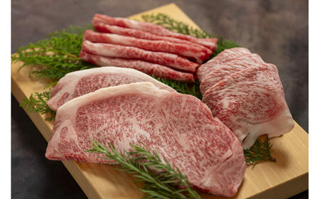 土佐黒牛 サーロイン ステーキ 約400g（約200g×2）/ 贈答用 黒牛 土佐 和牛 牛 肉 お肉 ウデ モモ バラ 食品 冷凍 高知 【高知県食肉センター株式会社】[ATFC039]