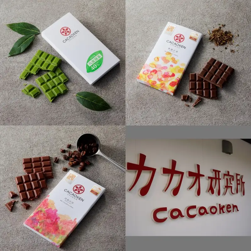 鉄板焼ハンバーグ(2種各2個)＆カカオ研究所 茶葉のチョコセット【A8-085】