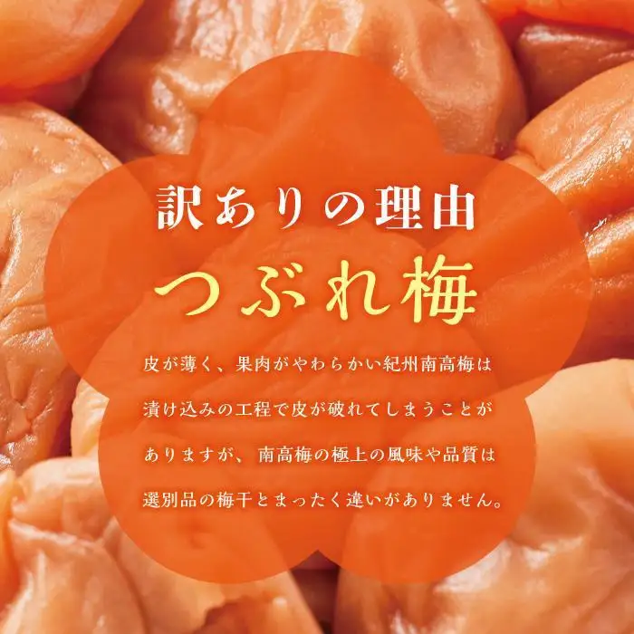 紀州南高梅 訳あり はちみつ梅 塩分5％ 1.2kg（300g×4パック）