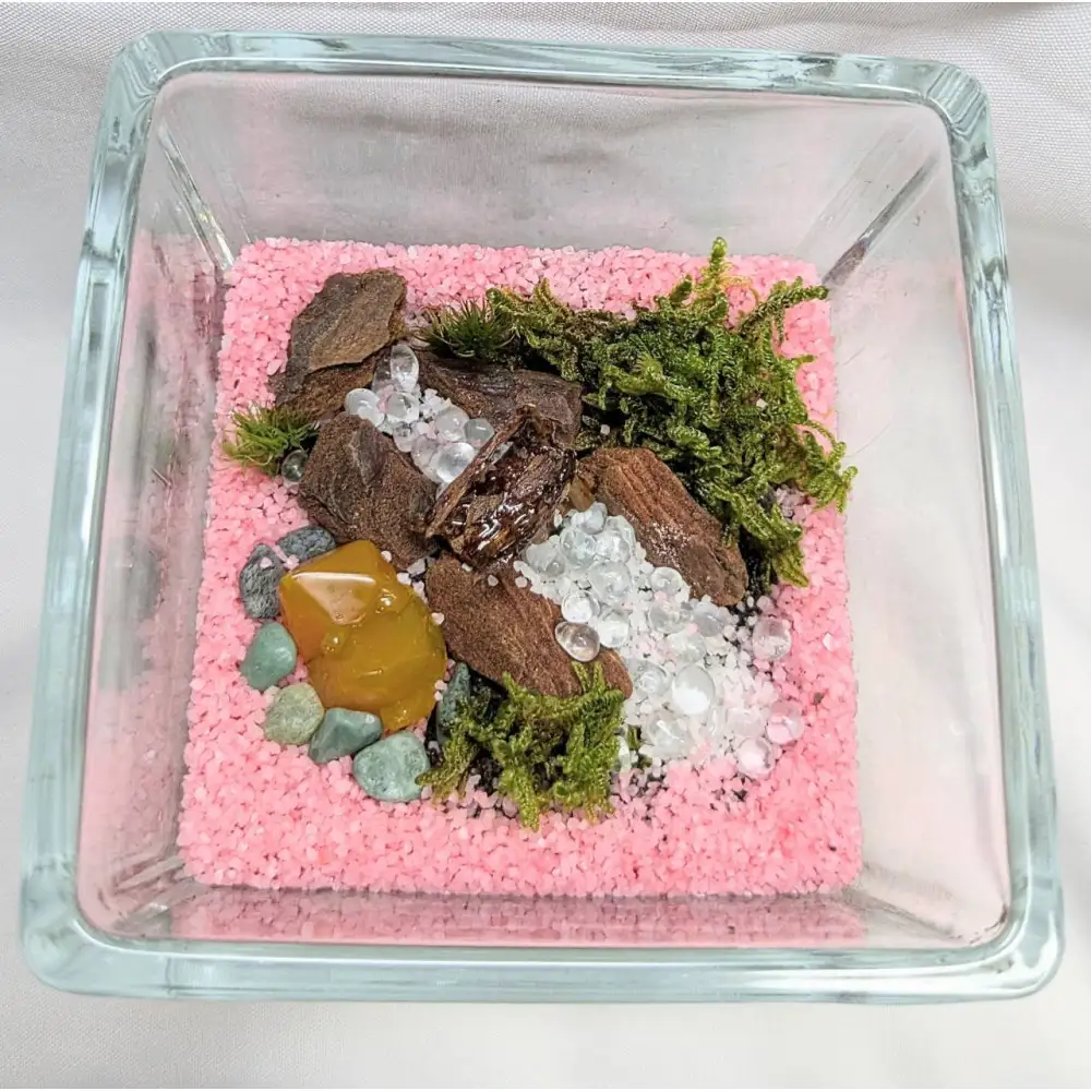ととのいの湯、テラリウムにて
