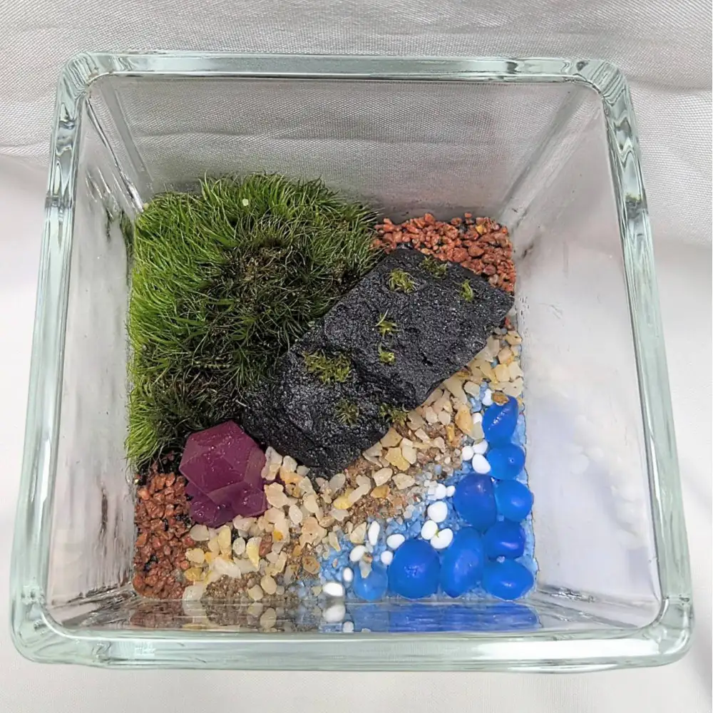 ポートの記憶、テラリウムに