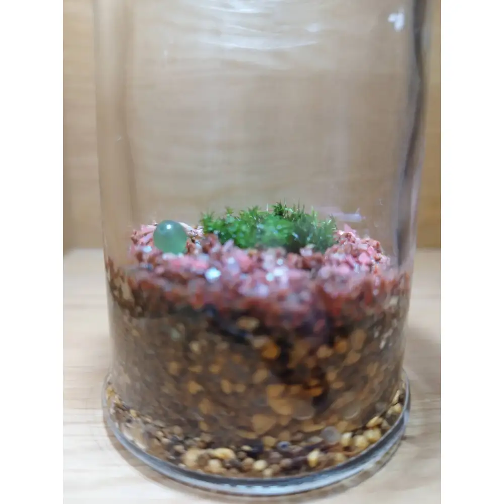 KOBE　COLORS　～STONE & MOSS～