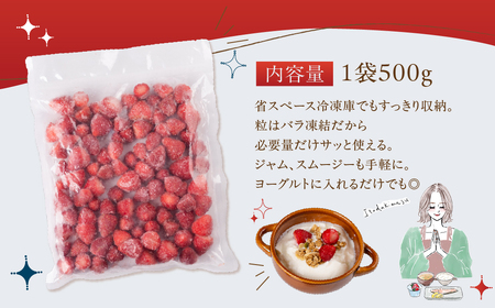 冷凍いちご よつぼし 1kg 国産 苺