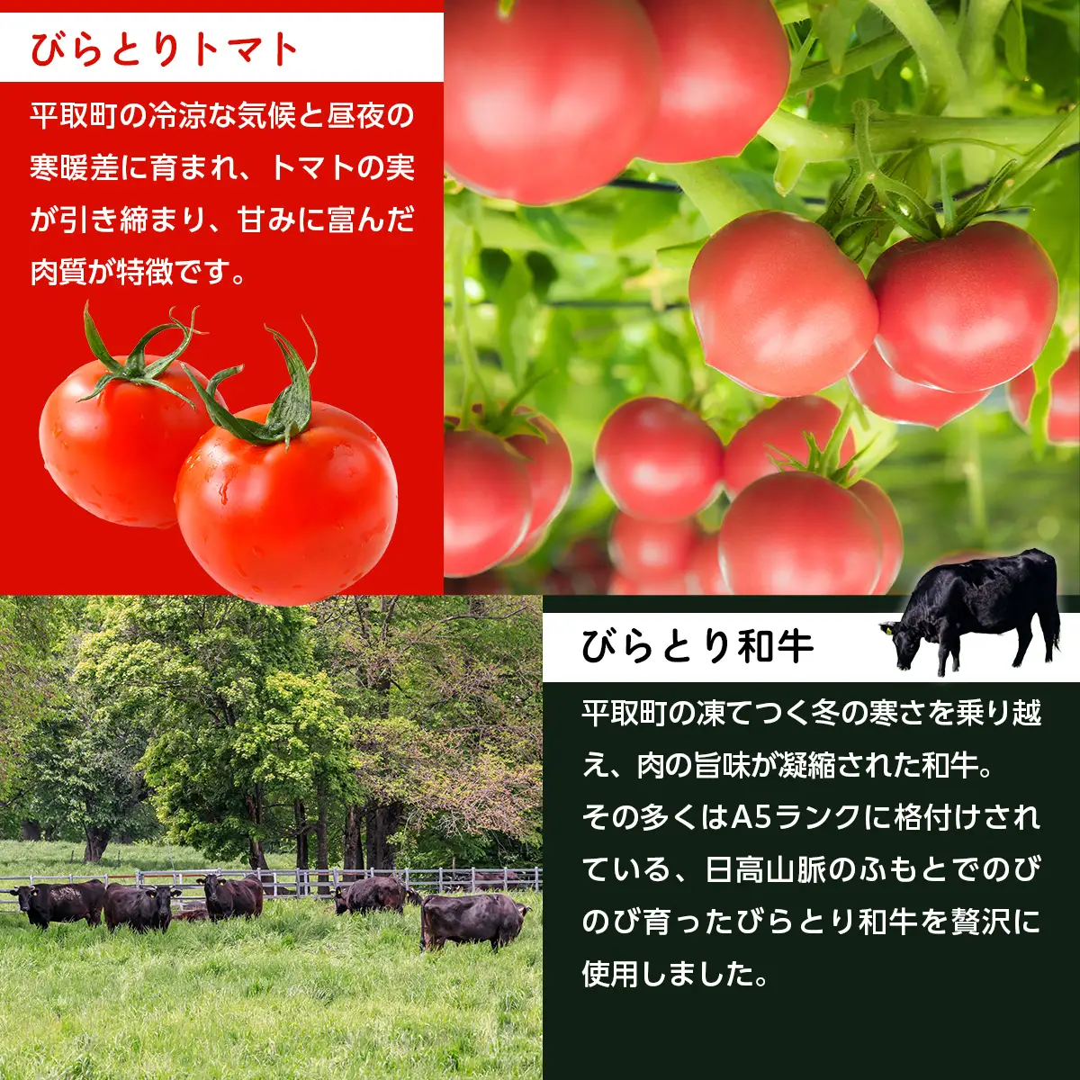 ニシパの恋人ミートソース びらとりトマト・びらとり和牛入り145g×6袋　BRTH032