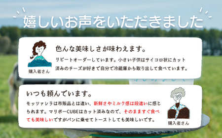 竹下牧場 takeshita farm【定期便12ヶ月】まるごとチーズセット 計560g【2402501】