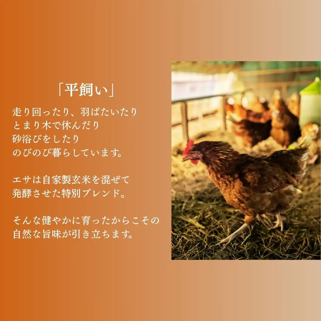 無塩せき ひよりハーブウインナー 150g×5袋｜ウィンナー 無添加 ギフト 南相馬