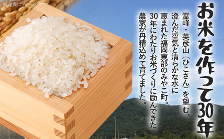 米 無洗米 令和8年産 元気つくし 5kg 精米 福岡県 みやこ町産 チャック付き チャック 防虫 ごはん おにぎり 福岡 九州 グルメ お取り寄せ
