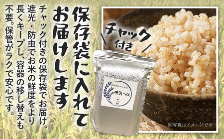 米 令和8年産 夢つくし（玄米） 5kg チャック付き チャック 防虫 ごはん おにぎり おやつ 福岡県 みやこ町産 福岡 九州 グルメ お取り寄せ