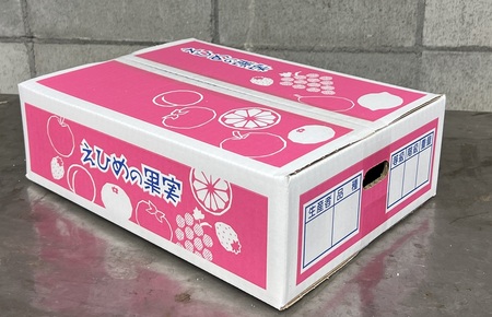 【2026年先行予約】 愛果28号 約3.3kg ご家庭用 みかん 紅まどんなと同品種 柑橘 愛媛 【2026年11月下旬から順次発送予定】 数量限定 人気 伊予市｜B456