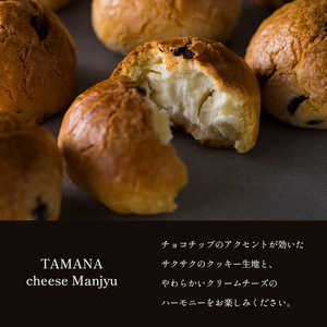 チーズ饅頭 10個 | お菓子 菓子 焼き菓子 チーズ 饅頭 まんじゅう チーズ饅頭 熊本 玉名 熊本県 玉名市