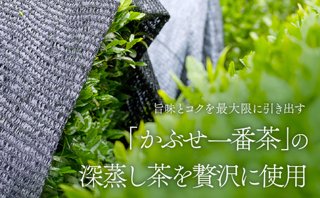 特上煎茶 清紹庵 300g（ 100g×3本 ） KN162-001-02 茶