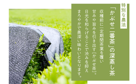 ホッとするね いつもの お茶 100g（ 100g×1本 ） KN162-002-01 茶