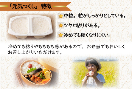 【定期便3ヶ月】　元気つくしパックご飯 　32食（150g×4食×8パック）[M776T3] ごはん 白米 パック 国産 九州産 福岡県産 宮若 レンジ 保存食 備蓄 非常食 常温保存 グルメ
