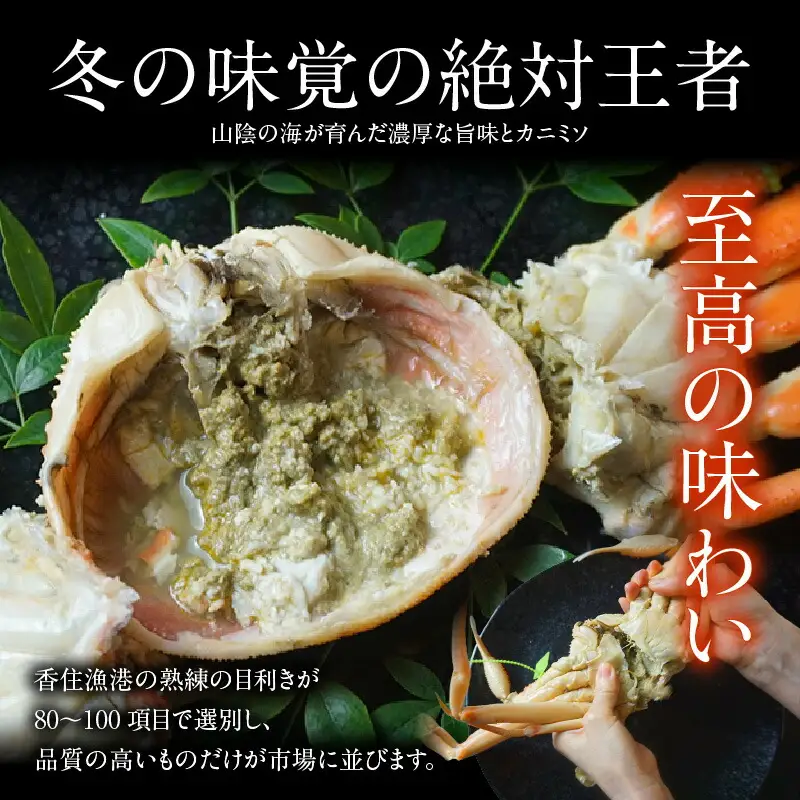 カニ 【タグ付き】 釜茹で 松葉がに 計約1.2kg【令和8年11月中旬以降発送予定】かに 07-138