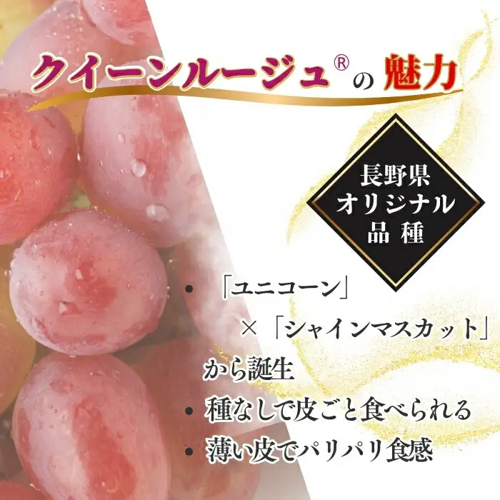 【2026年先行予約】クイーンルージュ® 約1kg|クイーンルージュ ぶどう