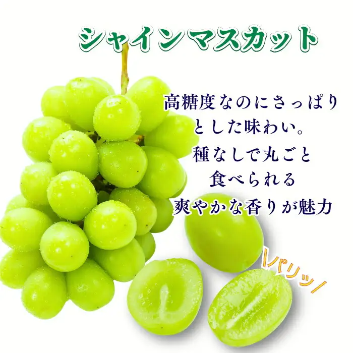 【2026年先行予約】シャインマスカット 約1kg|シャインマスカット ぶどう