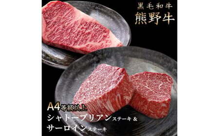 【全2回】－竹－ 国産うなぎ＆熊野牛 スタミナ定期便 / 定期便 鰻 牛肉 プレゼント お祝い 冷凍便 クール便 【tkb364】