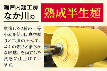 瀬戸内麺工房なか川 広島流汁なし担々麺 10食セット たれ・すり胡麻・七味唐辛子付き [2287]