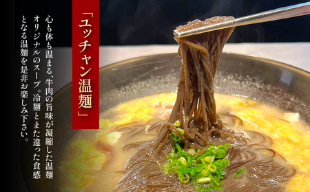 ユッチャン“温”麺 3人前 (約200g×3) ふるさと納税 福知山市 人気 おすすめ ランキング 冷麺 温麺 葛冷麺 葛麺 ユッチャン ユッチャン冷麺 やみつき 送料無料 【fc-EO002】【焼肉・冷麺ユッチャン。】