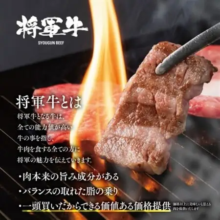 【将軍牛】特選焼肉セット ロース カルビ もも 3種類 500g【配送不可地域：離島・北海道・沖縄県】【1652110】