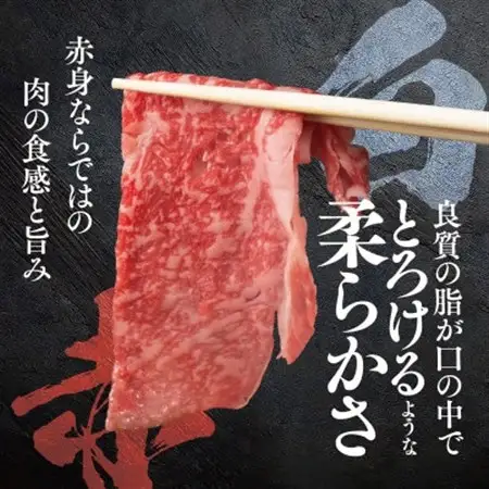 【将軍牛】特選すき焼きしゃぶしゃぶセット ロース もも 2種類 500g【配送不可地域：離島・北海道・沖縄県】【1653543】