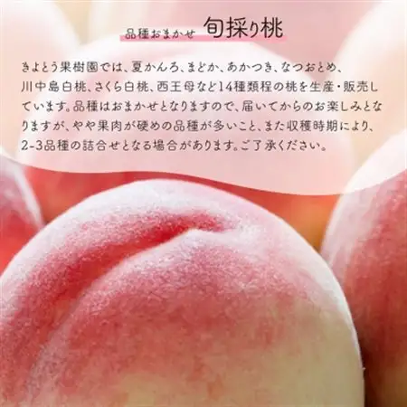 【発送月固定定期便】量より質の満足便!桃とシャインマスカットどっちも食べたい!(岡山県産)全2回【配送不可地域：離島】【4071129】