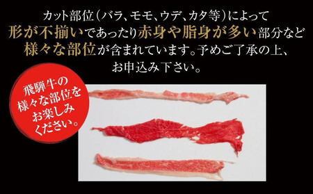【定期便】全3回 飛騨牛 切り落とし | 訳あり 肉 お肉 切り落とし 薄切り すき焼き すきやき 黒毛和牛 和牛 牛肉  飛騨高山ミート MZ110