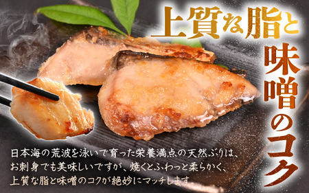 天然ぶり西京漬け 計10切（約90g×2切入）×5パック【福井県 ブリ 鰤】 [m36-a027]