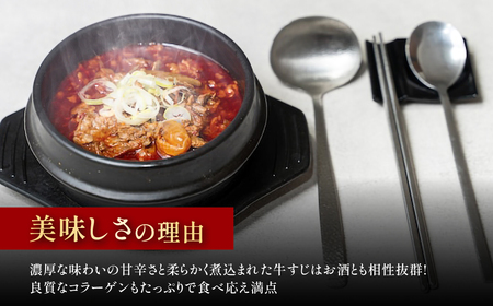 韓国風ピリ辛牛スジ煮込み 1人前 (360g×1パック) ふるさと納税 福知山市 人気 ランキング 惣菜 牛すじ煮込み 韓国風牛すじ煮込み 限定 コラーゲン 送料無料 【fc-EO016】【焼肉・冷麺ユッチャン。】