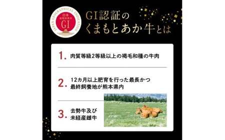 【定期便３回】GI認証 くまもとあか牛 すき焼き用500g_U01-T1309_3