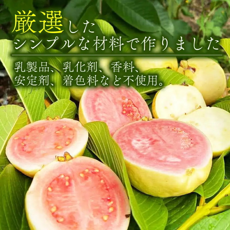 有機グアバ農園のなめらかジェラート 計12個  アイスクリーム ジェラート