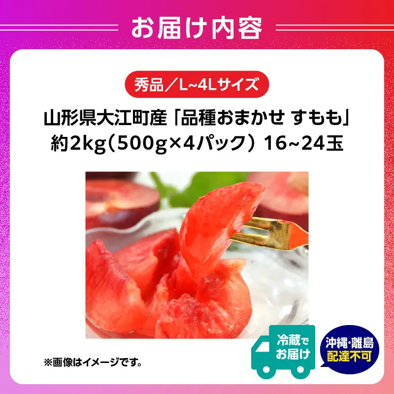 山形県大江町産 品種おまかせ すもも【2026年8月上旬～順次発送予定】 004-012