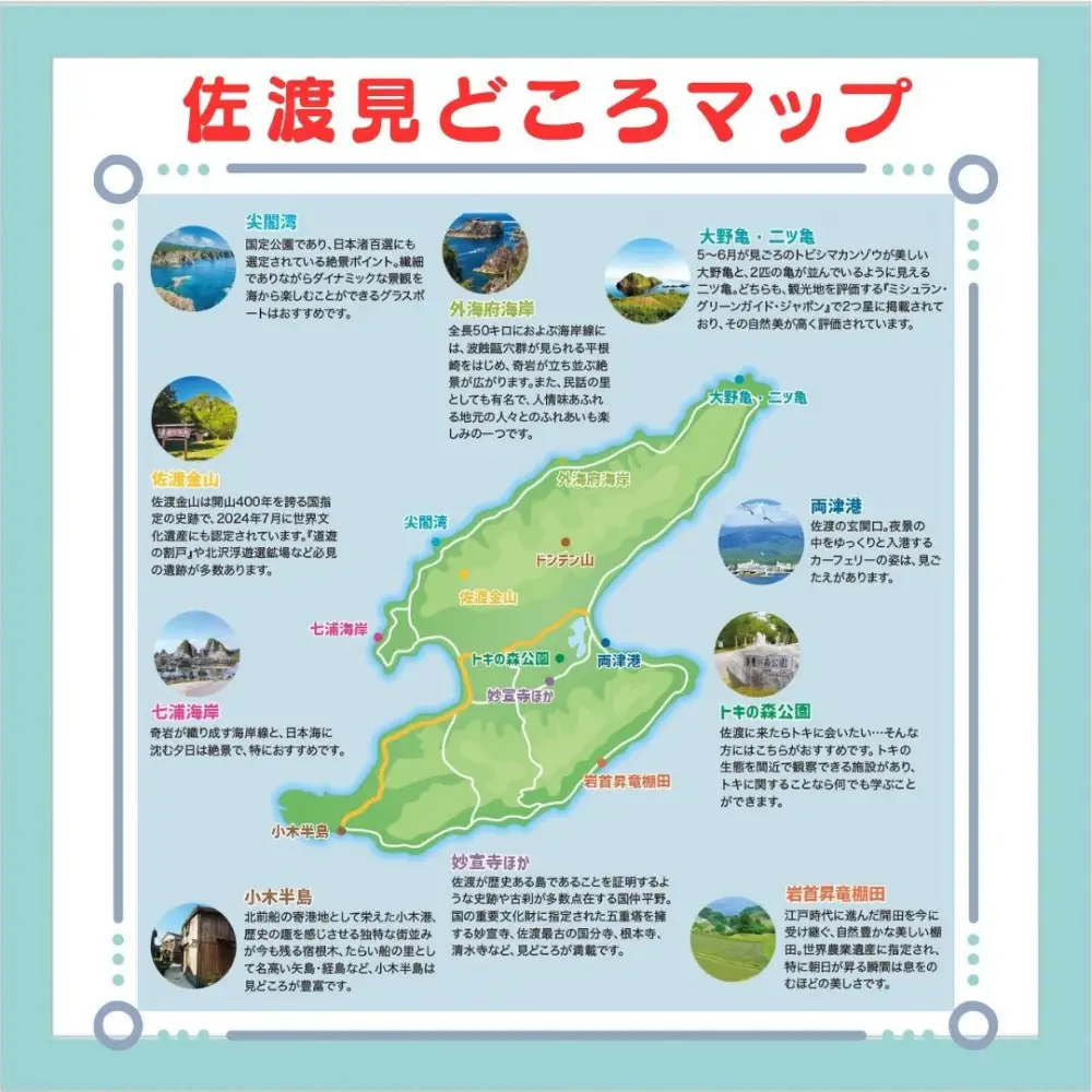 【新潟県佐渡】おけさ観光タクシー＜ヴェルファイア＞で巡る佐渡！5時間観光プラン　ラグジュアリーハイヤー