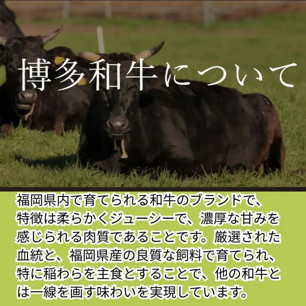 【博多和牛１００％使用】お肉屋さんの手ごねジューシー生ハンバーグ180ｇ×20個