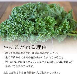 【6回定期便】【冷凍生】遠藤青汁3箱8.4kg(100g×84袋) 国産 ケール100%