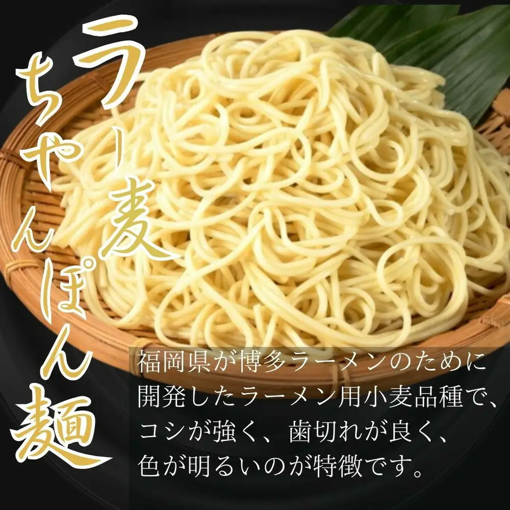 【8人前】博多の老舗醤油屋さんのこだわりスープのもつ鍋セット！！福岡特産ラー麦１００％使用のちゃんぽん?付き