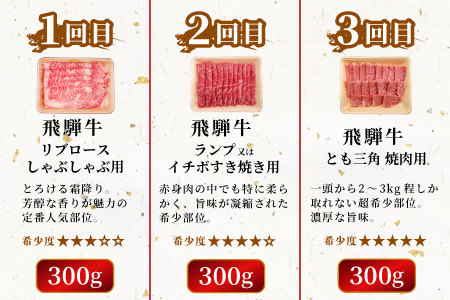 飛騨牛 希少部位 定期便 全6回 計1.86kg 2人前相当 すき焼き しゃぶしゃぶ ステーキ 焼肉 BBQ リブロース ランプ イチボ とも三角 ミスジ  ブランド牛 牛肉 肉 肉のひぐち 【7月発送開始】