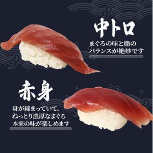寿司 マグロ 南 まぐろ 20貫 セット 中トロ 5枚 赤身 10枚 ミナミまぐろ 握り