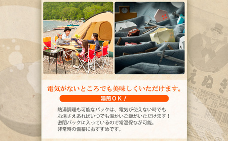 【令和7年産】山形県 山形市産 はえぬき パックライス 180g×48パック 5営業日以内発送 [10月以降発送開始] FY25-306
