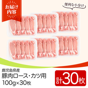 鹿児島県産豚肉ロースとんかつ用(100g×30枚) 国産 九州産 豚肉 ぶた肉 お肉 ロース とんかつ ポークステーキ 冷凍 【TRINITY】_y532