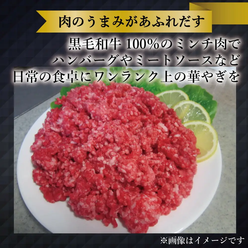 博多和牛 牛ミンチ約3kg（約500g×6パック）
