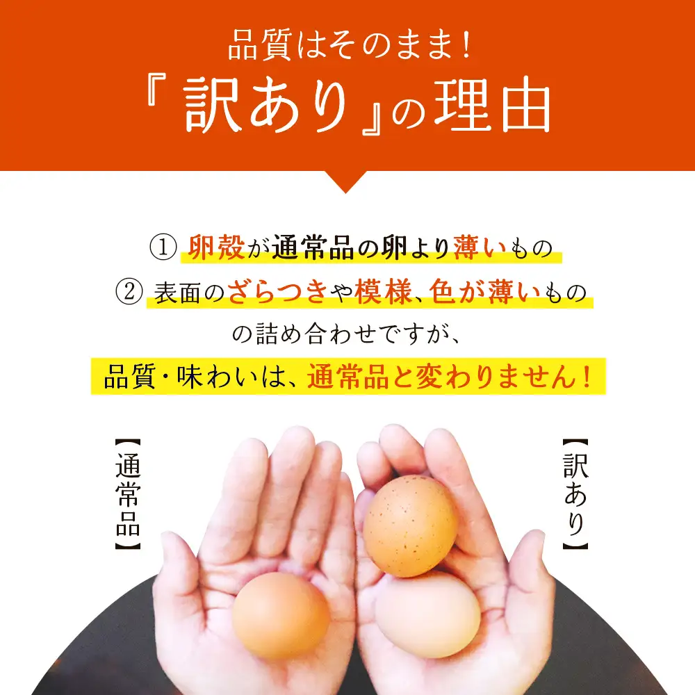 卵【わけあり】霧島山麓育ち こだわり卵 康卵 MSサイズ 計 50個（45個 + 割れ保証 5個）たまご 玉子 タマゴ 卵焼き 玉子焼き たまご焼き 生卵 鶏卵 平飼い 放し飼い たまごかけごはん 国産 九州産 宮崎県産 送料無料