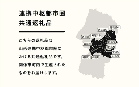 《先行予約》 さくらんぼ 佐藤錦 秀Lサイズ 500g 2026年産 令和8年産 山形県産 ns-snslb500