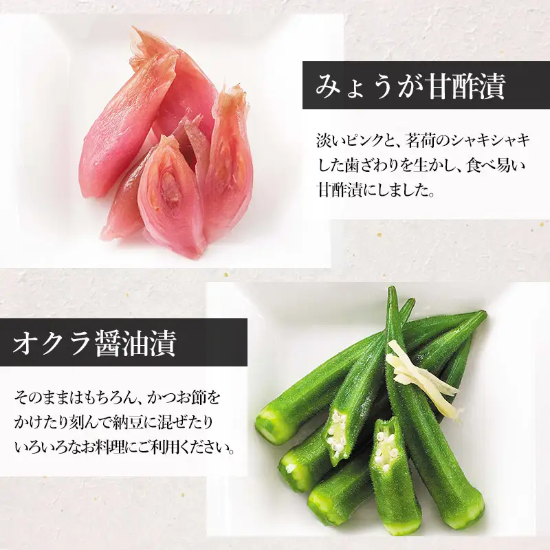 【令和8年発送 先行予約】 夏限定！　浅漬詰合せ　［K-723］ 株式会社 本長