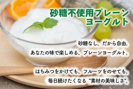 【12か月定期便】牧成舎のプレーンヨーグルト（砂糖不使用）12個入り 牧成舎 DF227