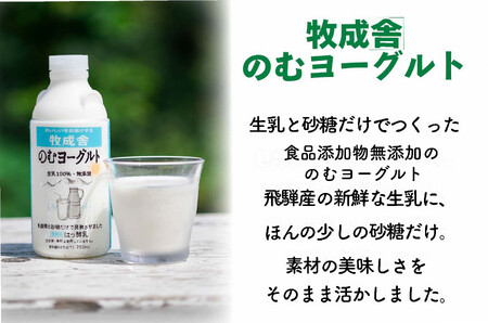 【10か月定期便】牧成舎のむヨーグルト 750ml×6本セット　飛騨産生乳使用｜乳製品 毎日習慣 素材 自然の恵み 乳飲料 (有)牧成舎 DF250