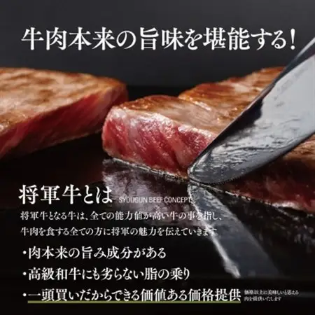 【将軍牛】特選ロースステーキ 500g【配送不可地域：離島・北海道・沖縄県】【1653402】