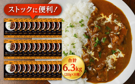 熊本 馬肉 馬スジのカレー 30食分（210g/食）カレー[AYAF116]