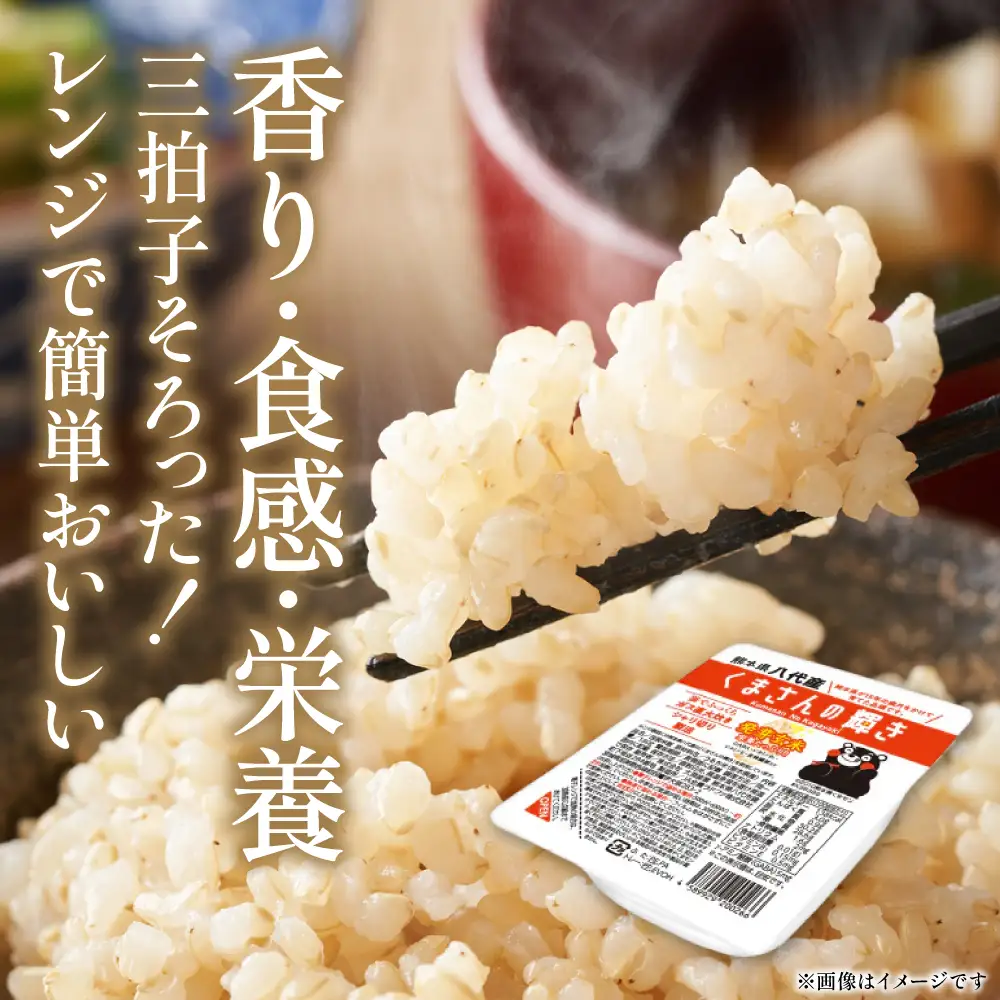 くまさんの輝き 発芽玄米 パックごはん 180g×24個入り 米 お米 コメ 熊本県産 国産 パックご飯 ひとり暮らし 非常食 防災 仕送り 備蓄